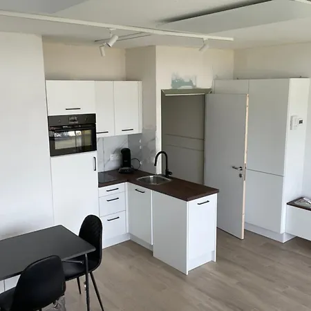 Studio Met Frontaal Zeezicht En Afgesloten Slaaphoek De Panne Exterior foto
